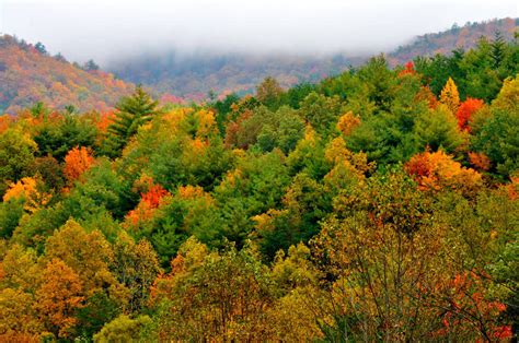 Fall Foliage- Official Chamber Planning InformationPigeon Forge Chamber ...