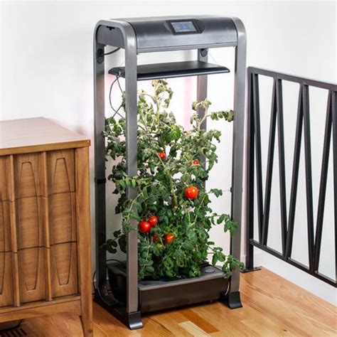 The 5 Best Indoor Gardening Kits to Bring the Outdoors Into Your Home