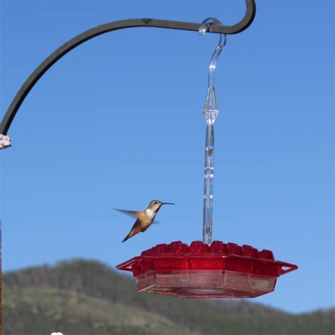 Best Hummingbird Feeder ever