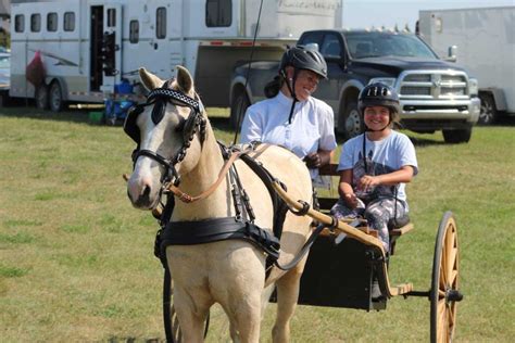 Carriage Driving Lessons - C Armr Ponies