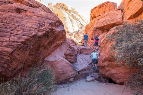 Two Fun, Short Hikes to do at Red Rock Canyon, Las Vegas | Earth Trekkers