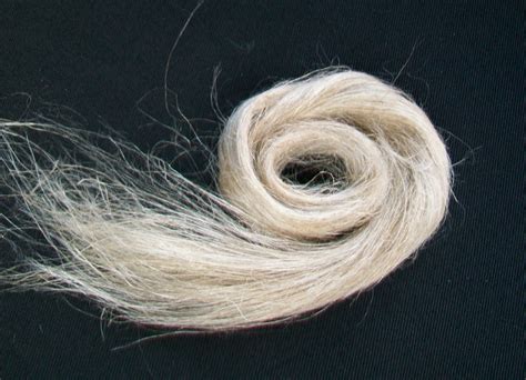 Natural Wools and Natural Fibres – Felting and Fiber Studio