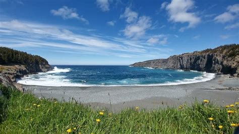 Beaches to visit in Newfoundland and Labrador this summer | CBC News