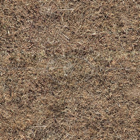 Dry grass texture seamless 12919