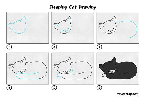 Sleeping Cat Drawing - HelloArtsy