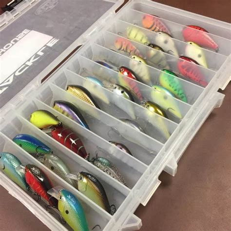 What Crankbait Color to Use for Any Water and Weather | Crankbait Guide