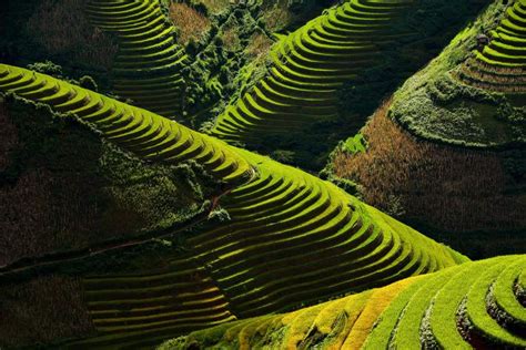 Spectacular rice terraces in Yen Bai Province, Northeast Vietnam ...