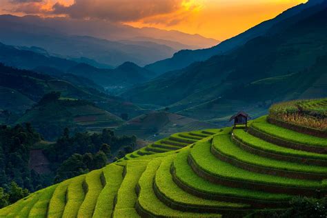 landscape, Nature, Rice Paddy, Terraces, Mountain, Sunset, Field, Trees ...