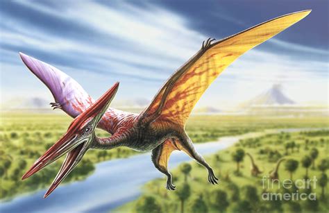 Pterodactyl Digital Art by Adrian Chesterman