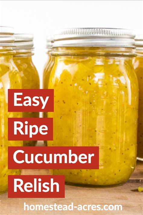 Best Ripe Cucumber Relish (For Overgrown Cucumbers) - Homestead Acres