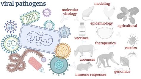 Pathogens | Section Viral Pathogens