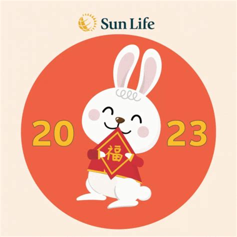 Year Of The Rabbit 2023 GIF – Year Of The Rabbit 2023 Fortune Rabbit ...