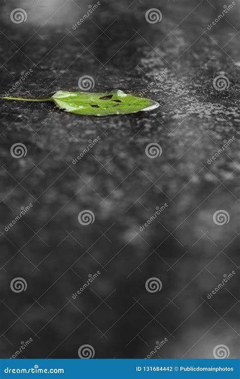 Water, Reflection, Black And White, Monochrome Photography Picture ...