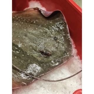 Stingray Fish Meat/Daging Ikan Pari | Shopee Malaysia