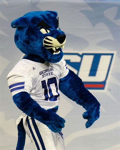 College football mascots: The cats