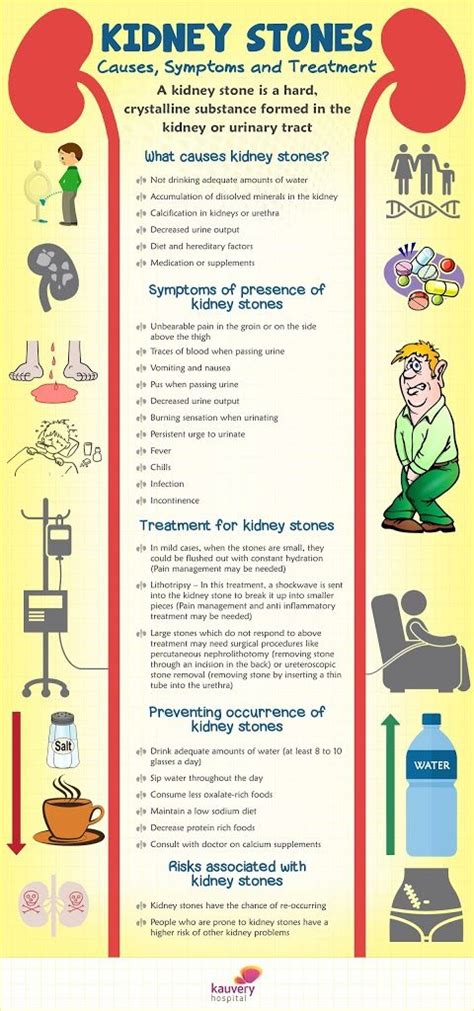 Kidney Stones – Causes, Symptoms and Treatment – Infographic | Kauvery ...