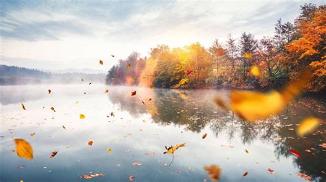 ¿Dónde están los mejores paisajes de otoño en España? Esta es nuestra ...