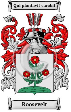 Roosevelt Name Meaning, Family History, Family Crest & Coats of Arms, Dutch