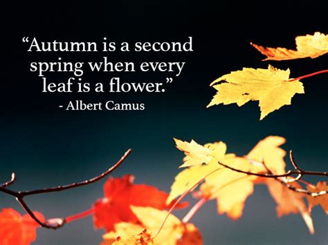 Fall Quotes and Sayings to Get You in the Spirit of Autumn