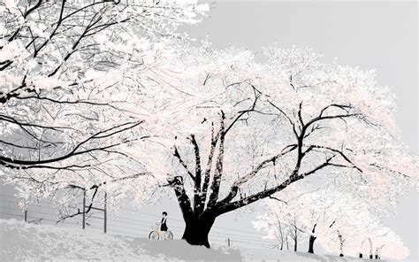 Japan Cherry Blossom Season Wallpaper