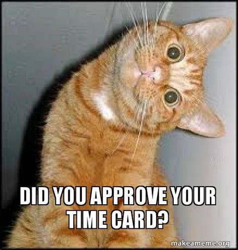 Did you approve your time card? Meme Generator