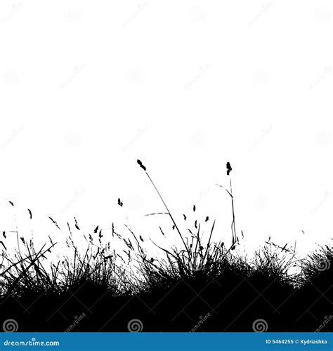 Grass Silhouette Black Royalty Free Stock Photo - Image: 5464255