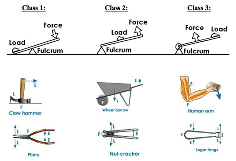 Types of simple Machine - Online Science Notes