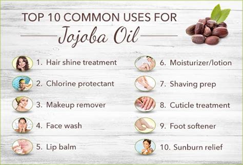 Jojoba Oil Uses: Top 10 Uses 3 DIY Recipes