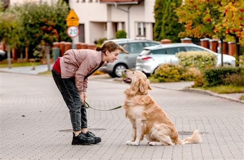 Premium Photo | Girl and golden retriever dog