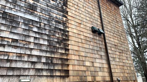 Can I make my cedar siding & fence look new again? - Gulf2Bay Softwash