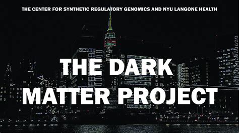 The Dark Matter Project