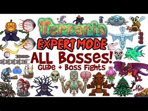 Steam Community :: Video :: Terraria All Bosses In Order Expert Mode ...