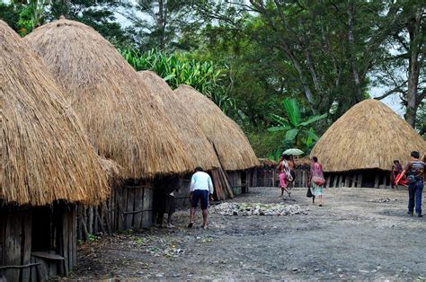 Get to know the Honai home of the Dani Papuan tribe - Hello Indonesia