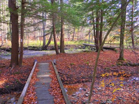 Favorite Hikes on the Finger Lakes Trail – Go Finger Lakes | State ...