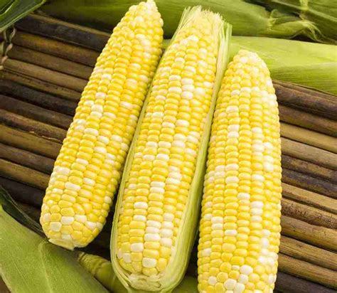 22 Sweet Corn Varieties You Need To Know - Growing Produce