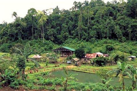 MINDANAO: The Land of Promise, Holding a Key to Environmental Defense ...