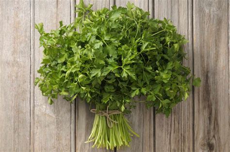 What Is Parsley?