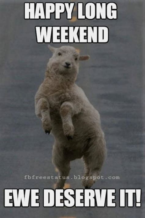 Funny & Happy Weekend Memes Quotes With Funny Weekend Images