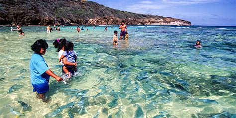 Hanauma Bay Hawaii - Swimming with the Fishes: Snorkeling at Hanauma ...