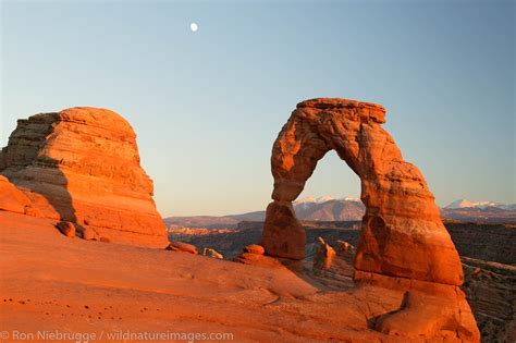 Delicate Arch | Arches National Park, Utah | Photos by Ron Niebrugge