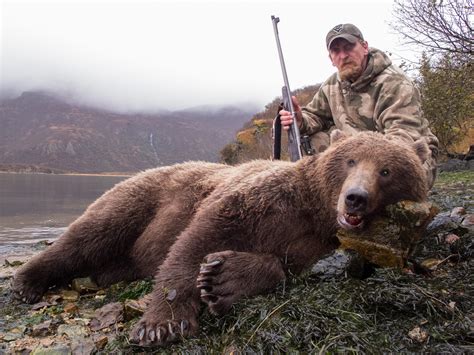 Alaska Brown Bear Hunting - Guided Bear Hunts