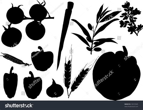 Illustration With Different Vegetables Silhouette Collection Isolated ...