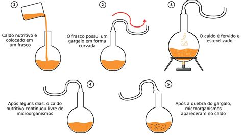 Louis Pasteur Experimento