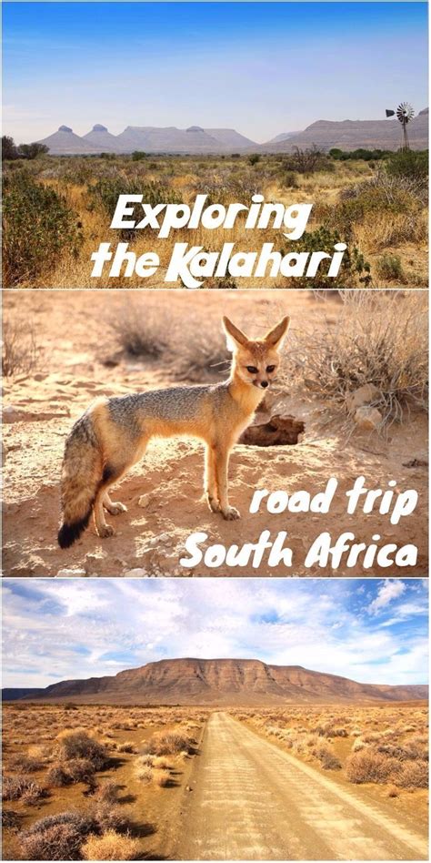 Cape Town to Kgalagadi road trip. Camping in the Kalahari | Africa ...