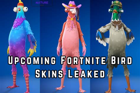 Upcoming Fortnite Bird Skins Leaked: Birds Of The Feather Set - The ...