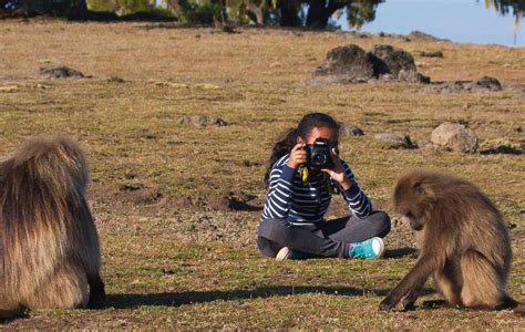 Ethiopia Photo Tour | Wildlife Observations Worldwide