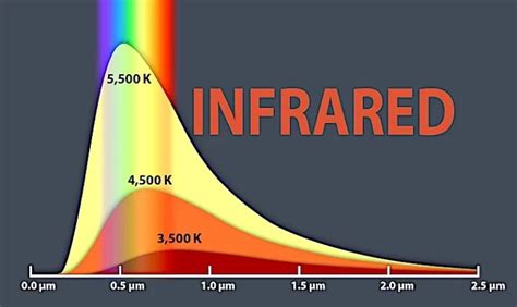 10 Best Examples of Transverse Waves In Real Life - RankRed