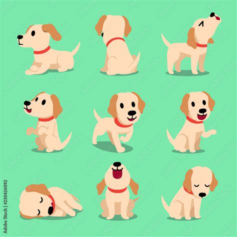 Vector cartoon character labrador dog poses for design. Stock Vector ...