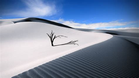 Black White Desert Sand Dunes HD Sand Wallpapers | HD Wallpapers | ID ...