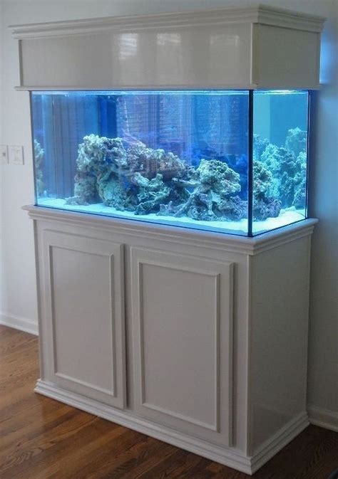 10 gallon aquarium stand - saadparties